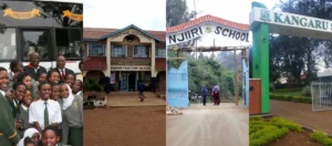 Read more about the article Top 10 List of Extra County Secondary Schools in Kenya