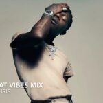Afrobeat Vibes Mix - Wizkid, Tems, Rema, Joeboy, Davido, Wande Coal, CKay, Tekno, Fireboy
