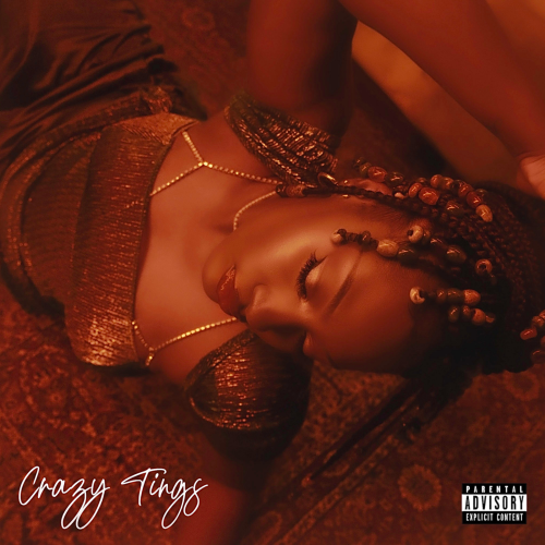 Download Audio | Crazy Tings Mp3 | By Tems | Get Free Afromusic